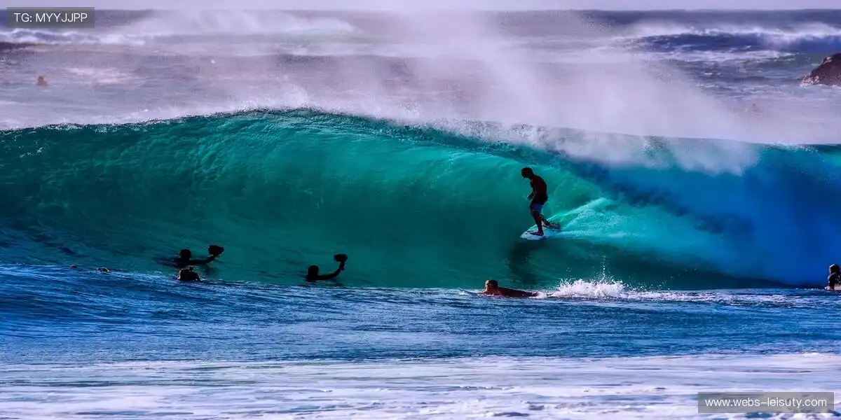 🎁限量周边，粉丝专属！🎾 把偶像力量穿在身上！